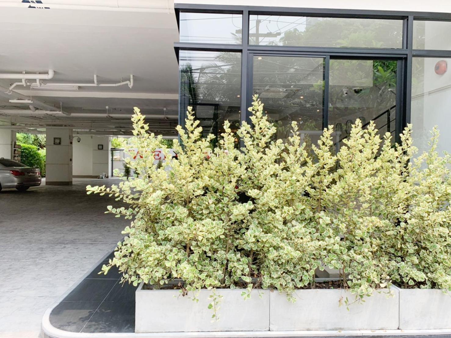 Pacific Residence 39 Bangkok Buitenkant foto